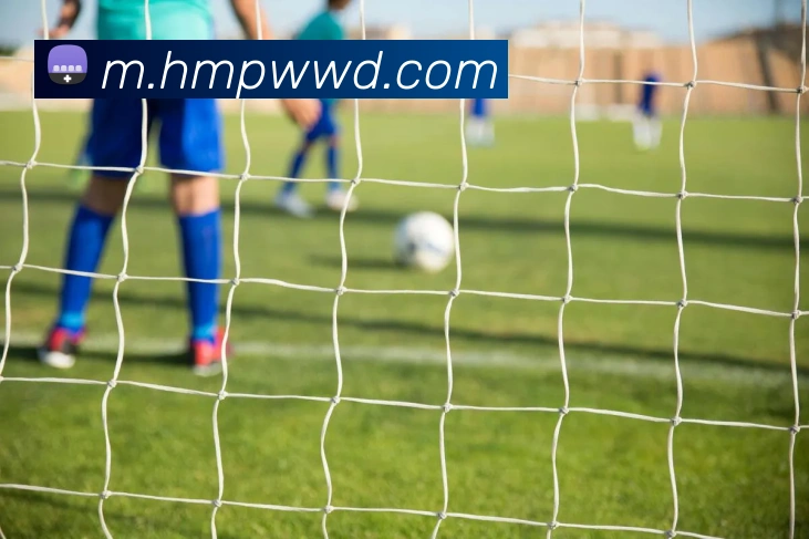 问鼎娱乐APP 体育赛事宣传图